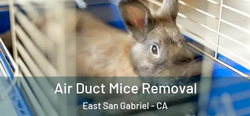  Air Duct Mice Removal East San Gabriel - CA