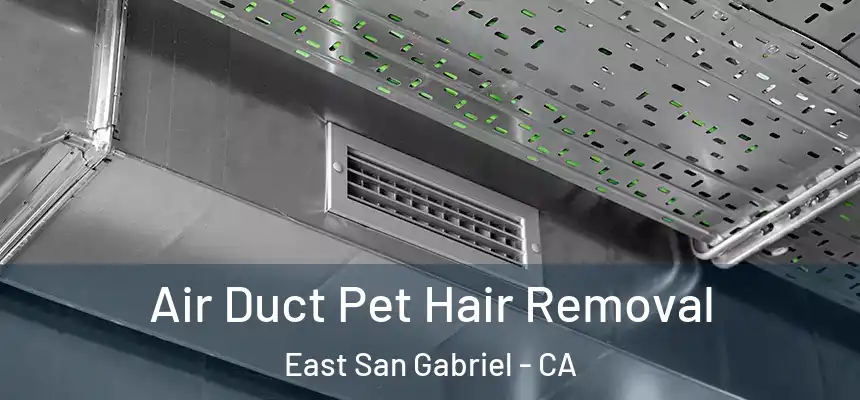  Air Duct Pet Hair Removal East San Gabriel - CA
