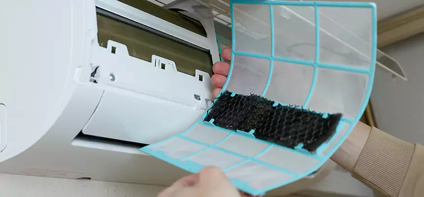 Gentle Ductwork Odor-Control Pet Dander Duct Cleaning in East San Gabriel, CA