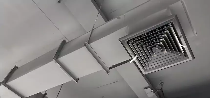 Our Rodent Droppings In Vents Services in East San Gabriel, CA