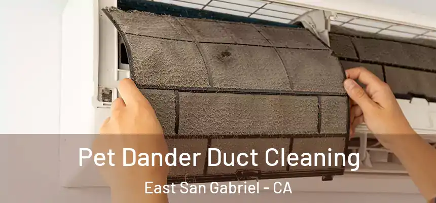 Pet Dander Duct Cleaning East San Gabriel - CA