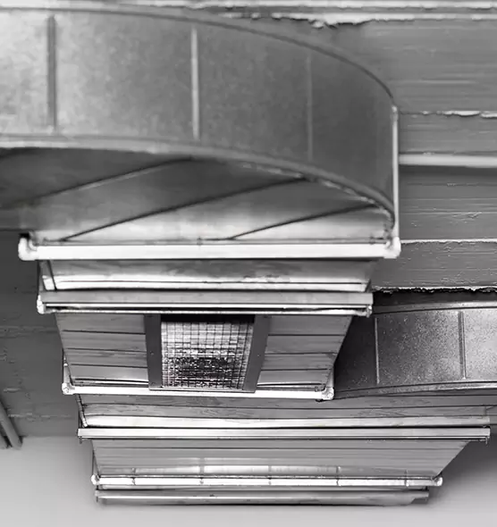 Professional Air Duct Pest Removal in East San Gabriel, CA