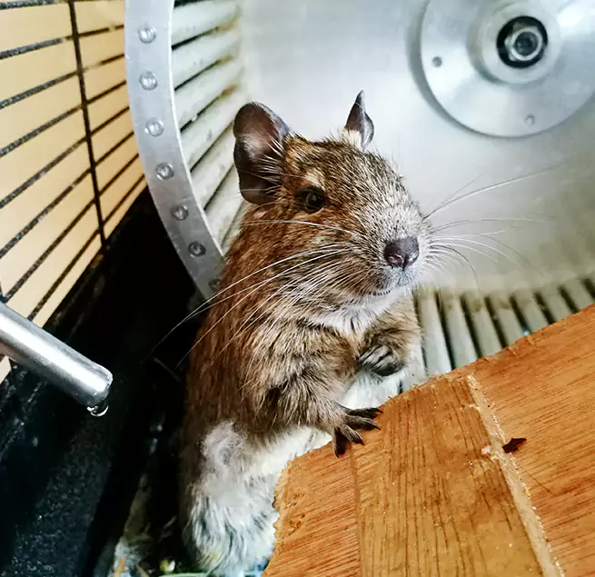 Why Homeowners & Businesses Trust Us East San Gabriel, CA