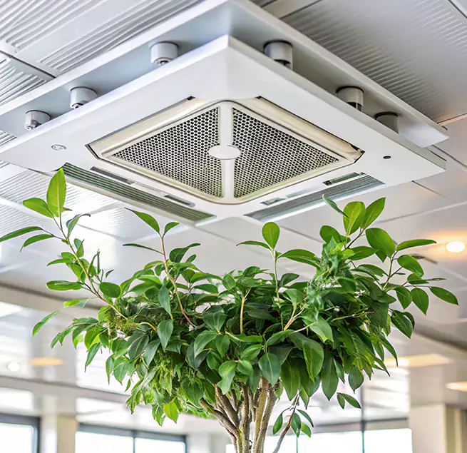 Why Homeowners & Businesses Trust Us in East San Gabriel, CA?