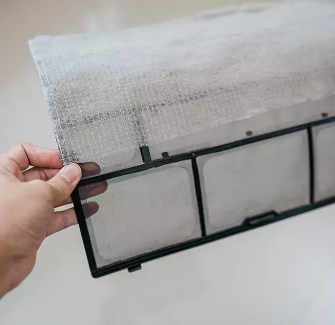 Why Homeowners & Businesses Trust Us in East San Gabriel, CA?